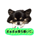 毎日コタロー2（個別スタンプ：16）