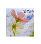 大好きなあの子に送る言葉♡（個別スタンプ：3）