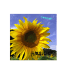 大好きなあの子に送る言葉♡（個別スタンプ：5）