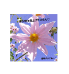 大好きなあの子に送る言葉♡（個別スタンプ：8）