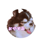 らるぴー（個別スタンプ：5）