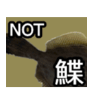 ザ・魚（個別スタンプ：5）