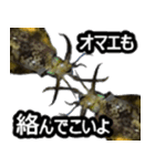 ザ・魚（個別スタンプ：8）