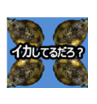ザ・魚（個別スタンプ：11）