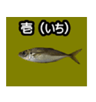 ザ・魚（個別スタンプ：12）