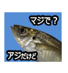 ザ・魚（個別スタンプ：15）