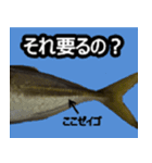 ザ・魚（個別スタンプ：17）