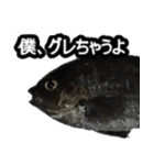 ザ・魚（個別スタンプ：18）