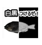 ザ・魚（個別スタンプ：20）