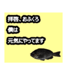 ザ・魚（個別スタンプ：23）