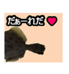 ザ・魚（個別スタンプ：24）