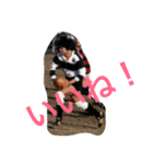 ラグビーコウジ（個別スタンプ：18）