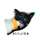 I lovecat（個別スタンプ：2）