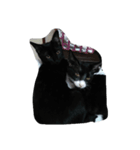 I lovecat（個別スタンプ：8）