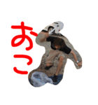 FUNNYLIFE公式スタンプ（個別スタンプ：20）