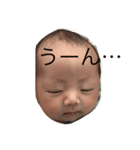 まごふぉと（個別スタンプ：1）