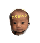 まごふぉと（個別スタンプ：2）