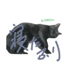 ネコ様ネコさまツルとカメ（個別スタンプ：2）