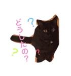 いとまる1130、3（個別スタンプ：13）