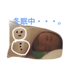 いとまる1130、3（個別スタンプ：14）