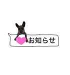 看板犬リリーちゃん♪（個別スタンプ：15）