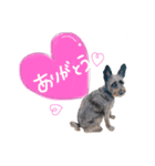 看板犬リリーちゃん♪（個別スタンプ：16）