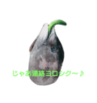 マグロのお頭キュウリ添え（個別スタンプ：2）