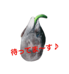 マグロのお頭キュウリ添え（個別スタンプ：3）
