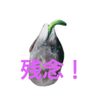 マグロのお頭キュウリ添え（個別スタンプ：9）