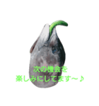 マグロのお頭キュウリ添え（個別スタンプ：14）