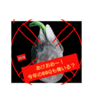 マグロのお頭キュウリ添え（個別スタンプ：15）