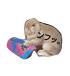 CHAN05（個別スタンプ：8）