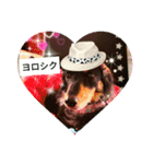 クルミとチャビ（個別スタンプ：7）