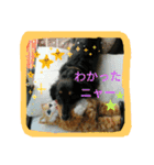 クルミとチャビ（個別スタンプ：8）