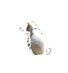 阿部家のPet（個別スタンプ：3）