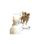 阿部家のPet（個別スタンプ：8）