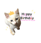 阿部家のPet（個別スタンプ：32）