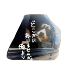 ジョイ君の日常（個別スタンプ：5）