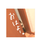ネブ男の日常会話（個別スタンプ：1）