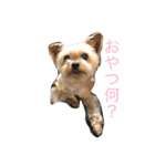 ネブ男の日常会話（個別スタンプ：4）