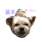 ネブ男の日常会話（個別スタンプ：6）