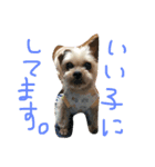 ネブ男の日常会話（個別スタンプ：12）