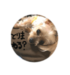 ネブ男の日常会話（個別スタンプ：15）