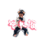 ふうなな(2)（個別スタンプ：1）