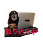こじとの日々（個別スタンプ：3）