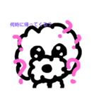 かわいいプードルスタンプ（個別スタンプ：8）