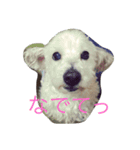 くるみの日常生活（個別スタンプ：2）