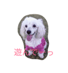 くるみの日常生活（個別スタンプ：3）