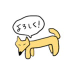 インド動物園（個別スタンプ：13）
