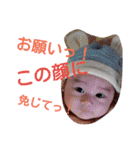 颯人くんすきすきスタンプ（個別スタンプ：15）
